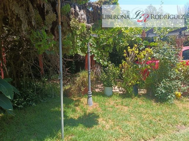 place photo 33