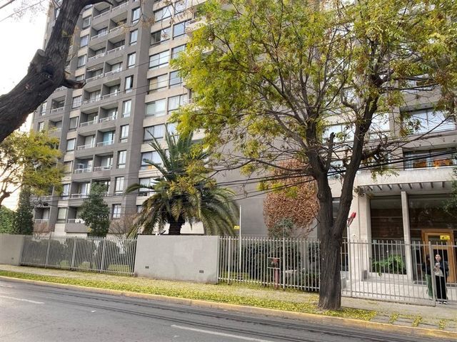 place photo 43