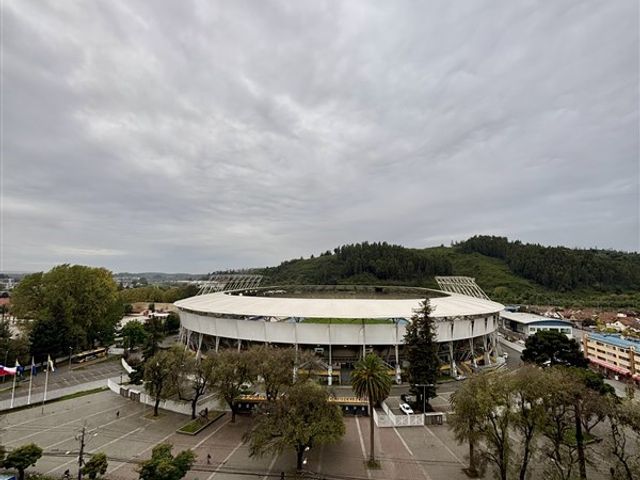 place photo 19