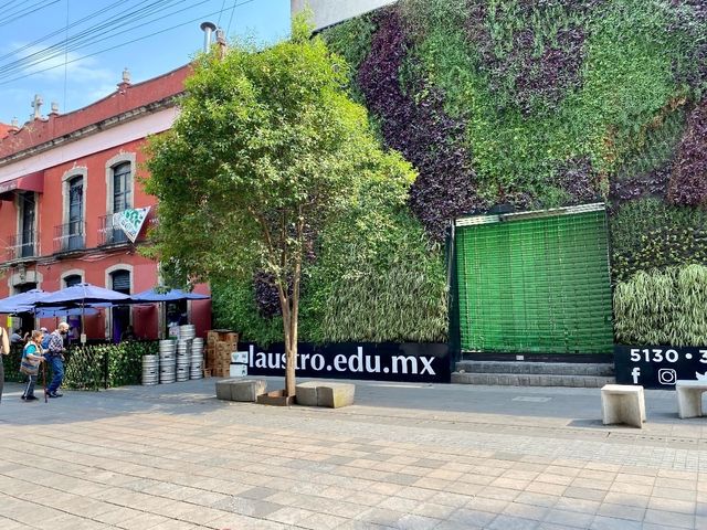 place photo 17