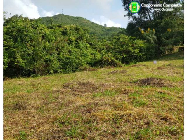 place photo 16