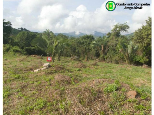 place photo 17