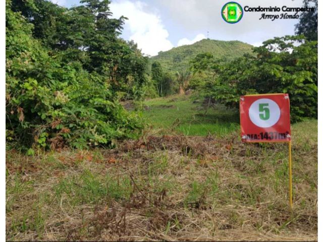 place photo 14