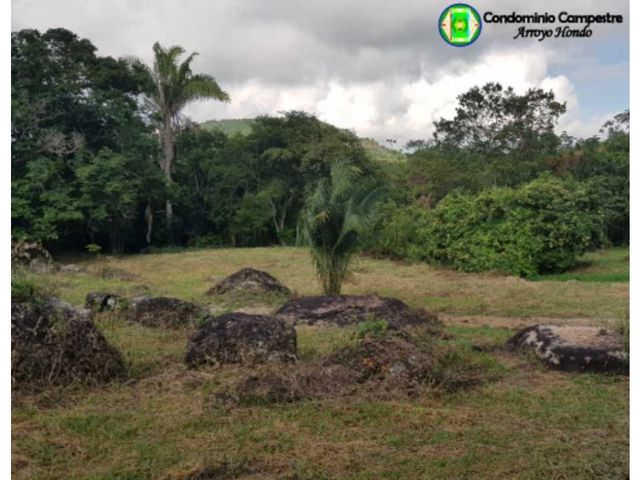 place photo 12
