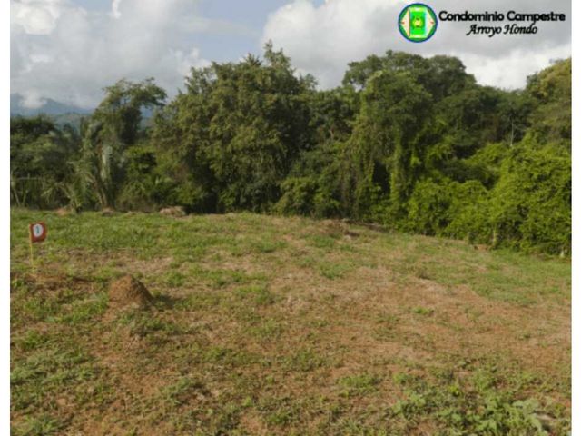 place photo 18