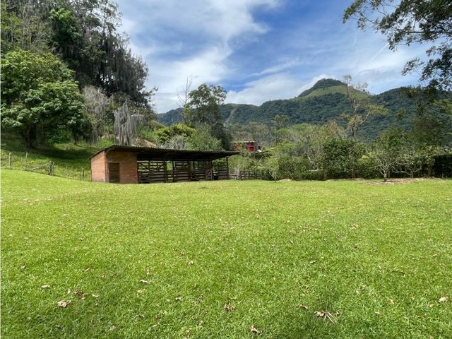 place photo 47