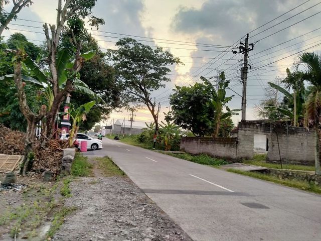 place photo 4
