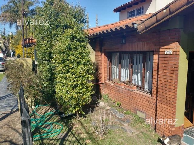 place photo 29