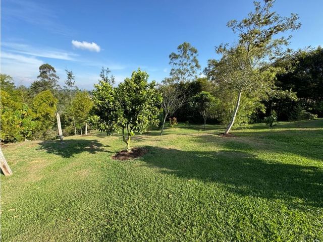 place photo 45