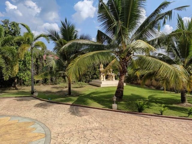 place photo 29