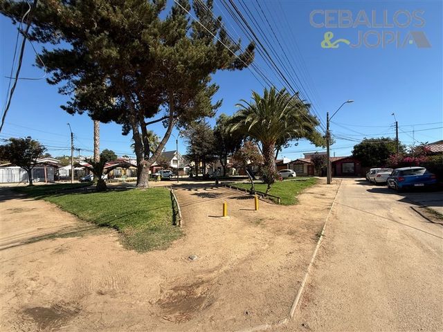 place photo 24