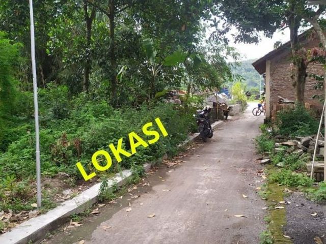 place photo 6