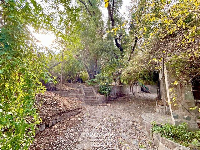 place photo 45