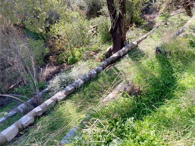 place photo 40
