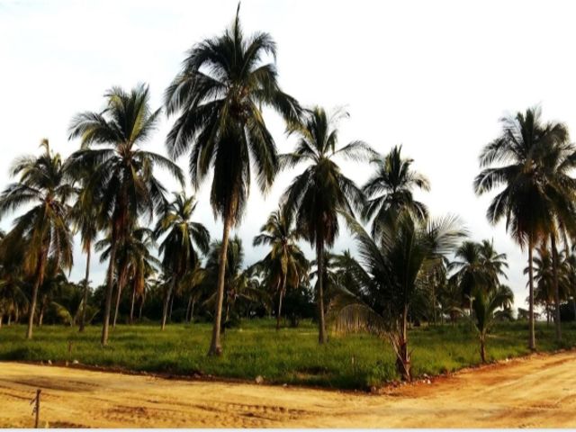 place photo 4
