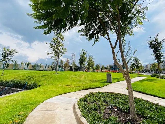 place photo 47