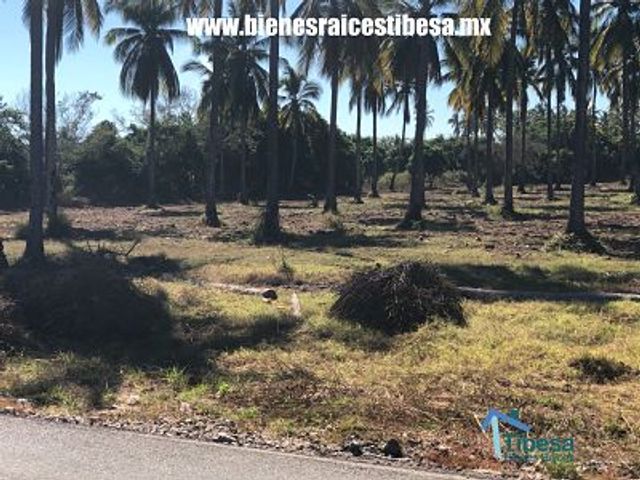 place photo 14
