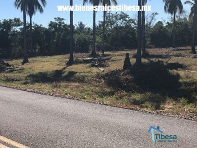 place photo 15