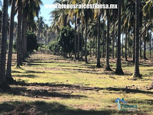 place photo 12