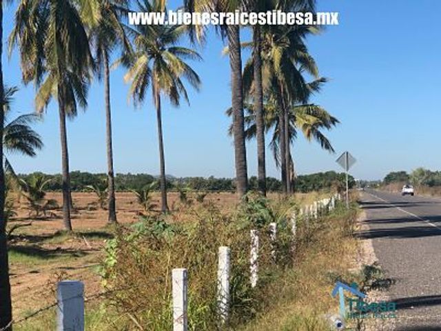 place photo 9