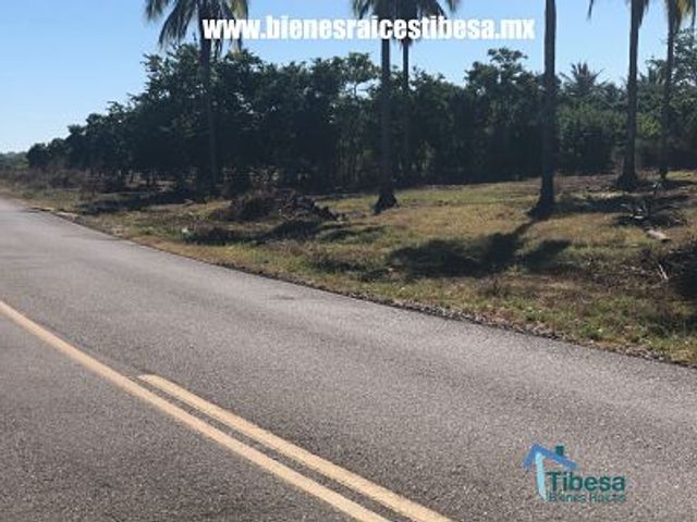 place photo 16