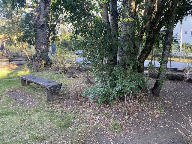 place photo 20