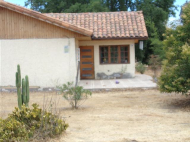 place photo 54