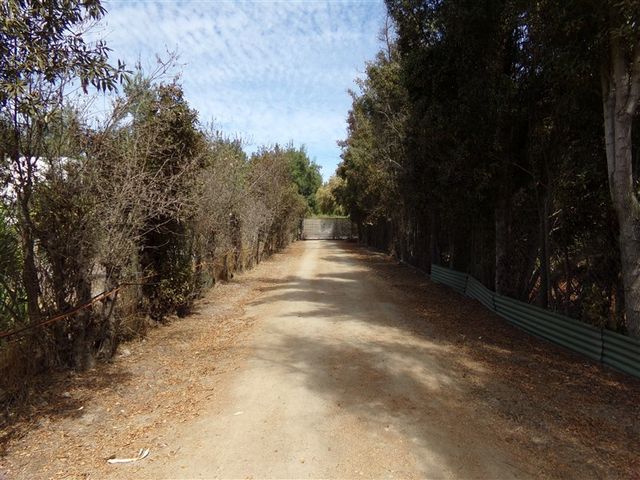 place photo 16
