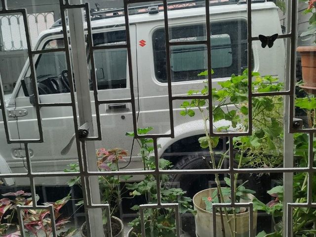 place photo 16