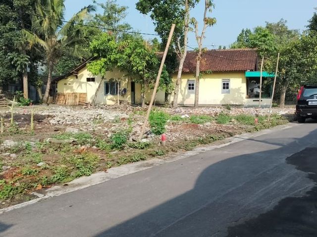 place photo 4