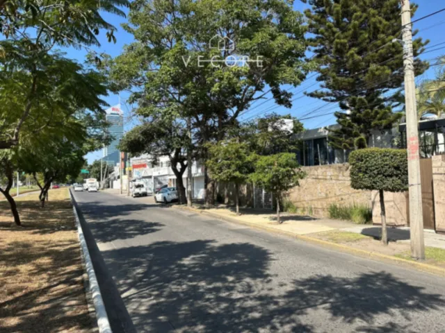 place photo 26