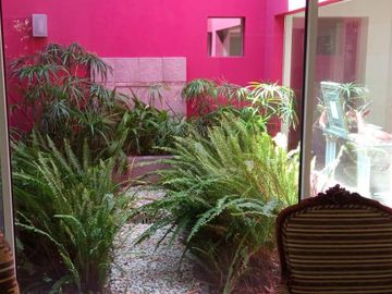 place photo 29