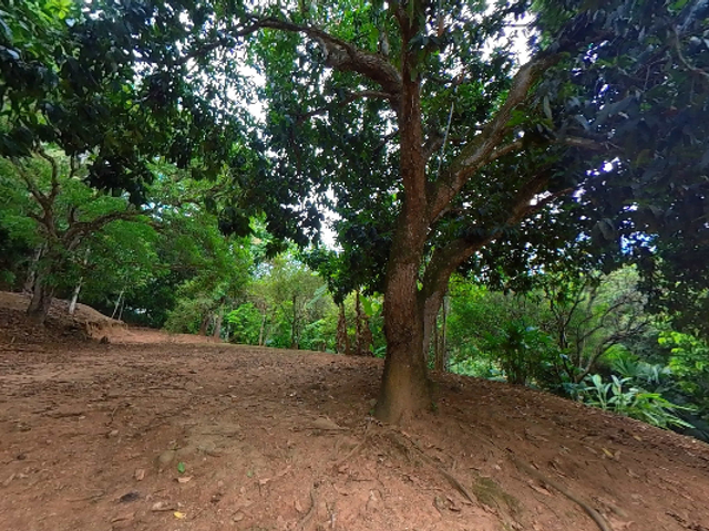 place photo 18
