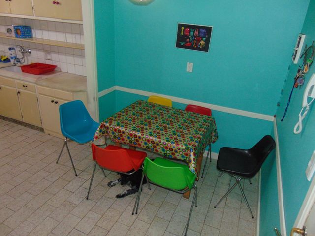 place photo 19