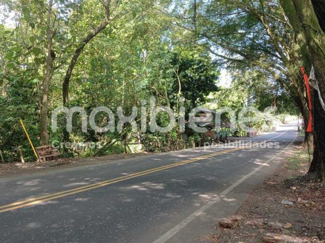 place photo 24