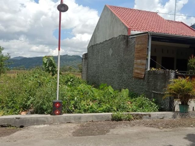place photo 3