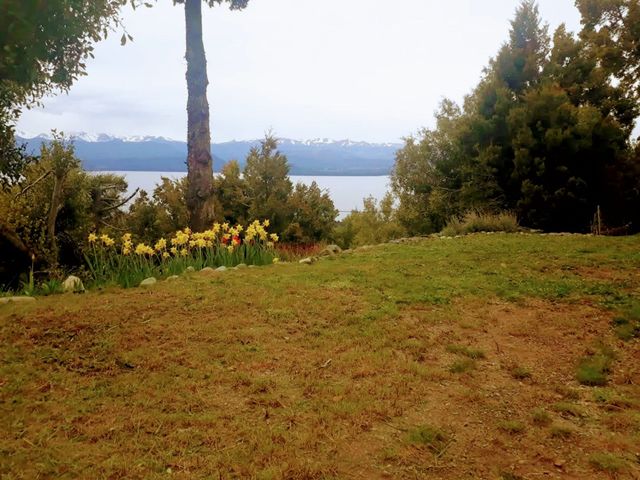 place photo 24