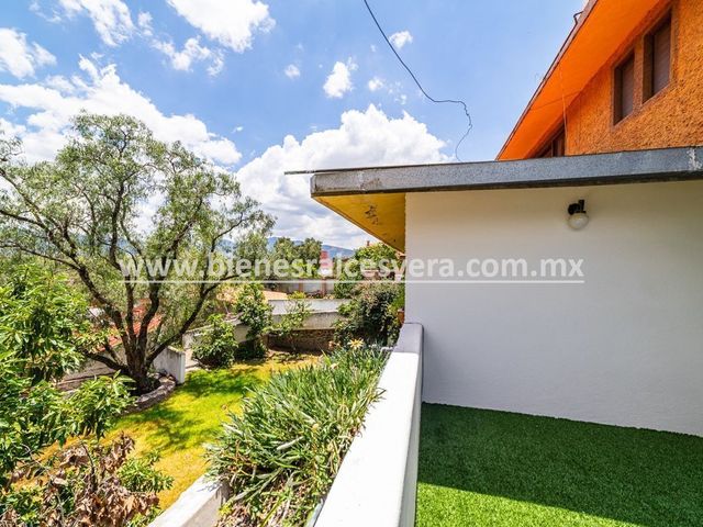 place photo 37
