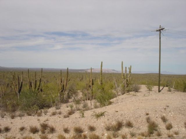 place photo 25