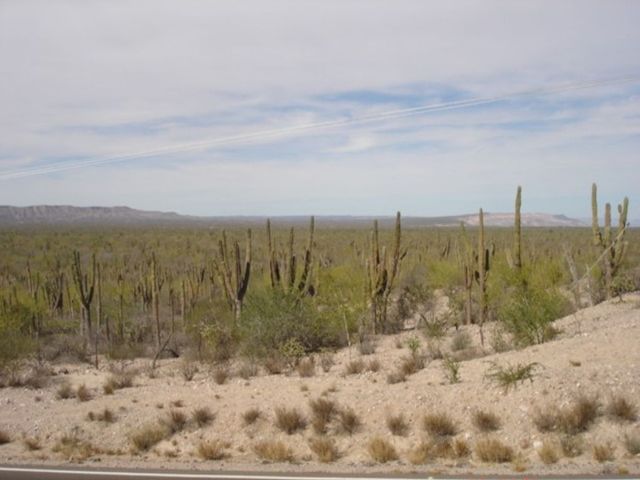 place photo 24