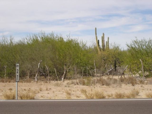 place photo 29