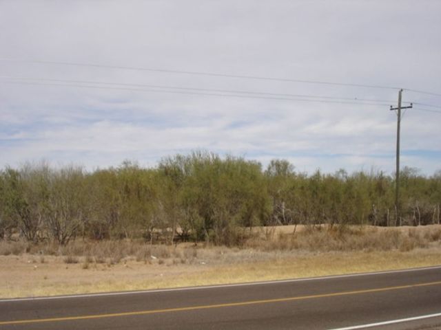 place photo 19