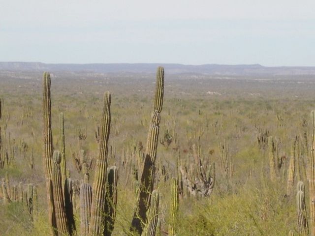 place photo 27