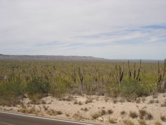 place photo 23