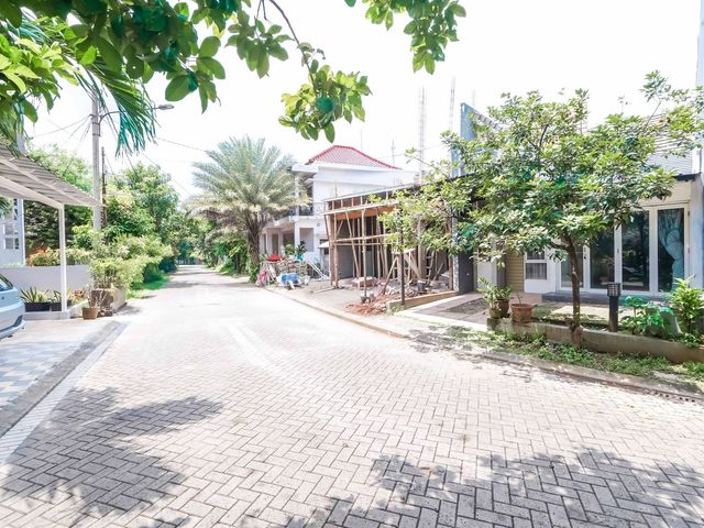 place photo 23