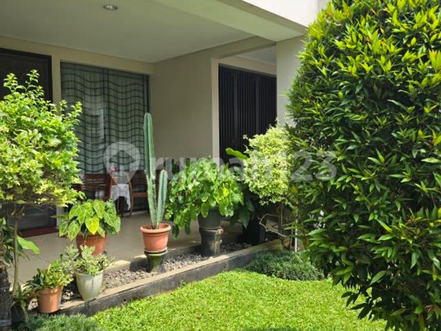 place photo 35