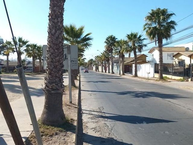 place photo 20