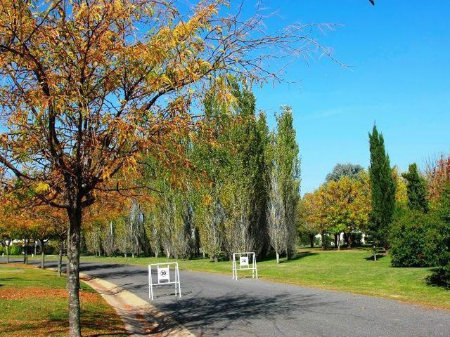 place photo 11