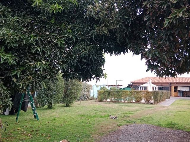 place photo 58
