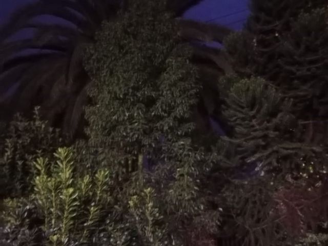 place photo 71